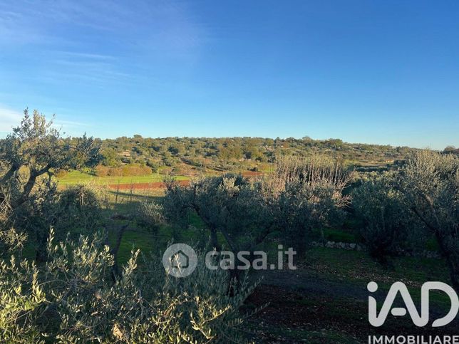 Terreno agricolo in commerciale in Via Erminio Continelli
