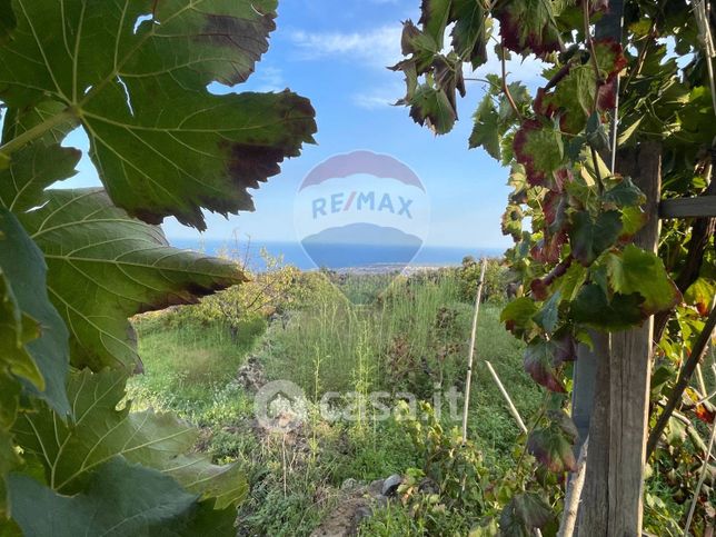 Terreno agricolo in commerciale in 