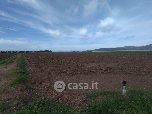 Terreno agricolo in commerciale in Via di San Vincenzo