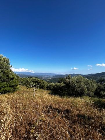 Terreno agricolo in commerciale in LocalitÃ  Selva