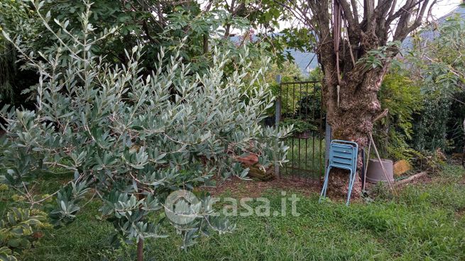 Terreno agricolo in commerciale in Via Ponte Valli