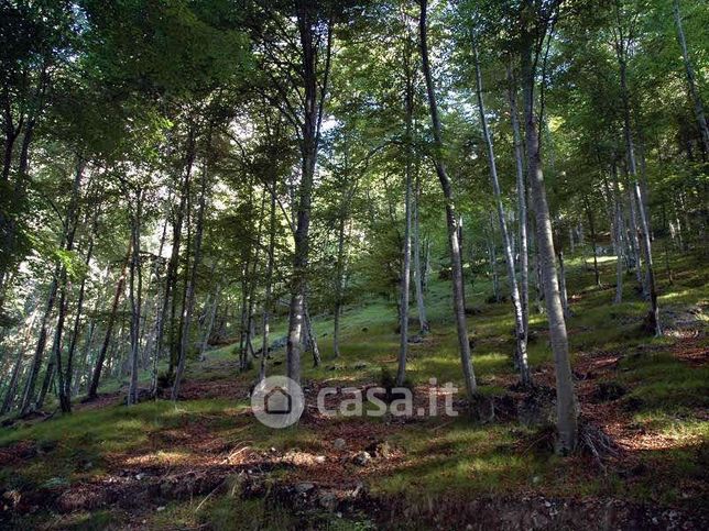 Terreno agricolo in commerciale in Via Giuseppe Negrini