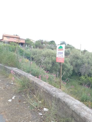 Terreno agricolo in commerciale in SP120 60