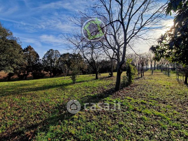 Terreno agricolo in commerciale in 