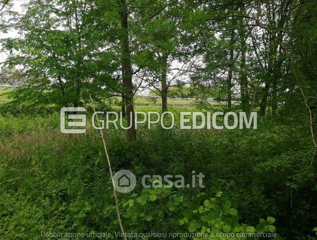 Terreno agricolo in commerciale in Strada Terraglio