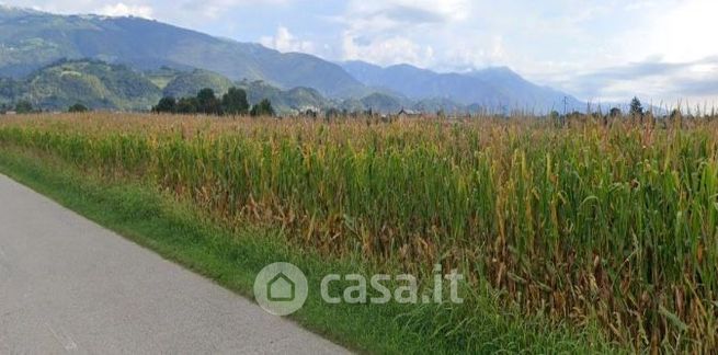 Terreno agricolo in commerciale in Via Boscaglie 57 C