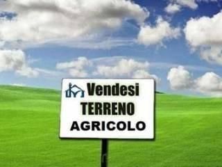 Terreno agricolo in commerciale in Via Carlo Marx Pontasserchi