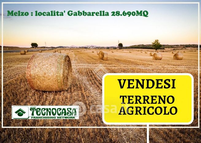 Terreno agricolo in commerciale in Via Roma