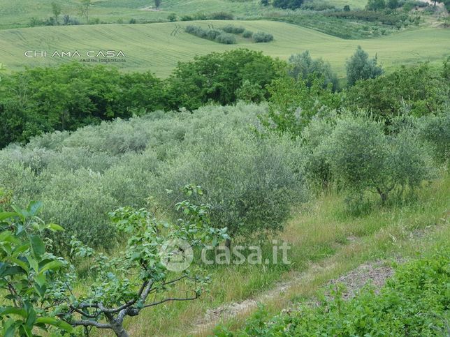 Terreno agricolo in commerciale in Strada Provinciale 26