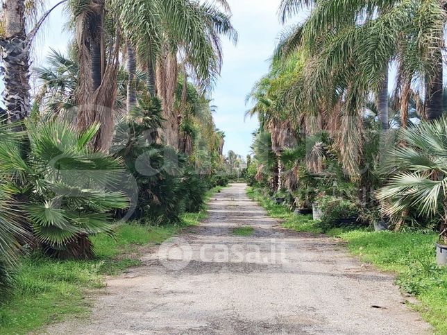 Terreno agricolo in commerciale in Contrada Gaddimeli