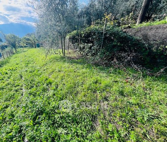 Terreno agricolo in commerciale in Località Roncaglie