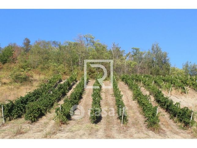 Terreno agricolo in commerciale in Via Polenta Nuova