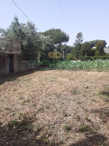 Terreno agricolo in commerciale in Strada Provinciale Acropoli di Cuma 1