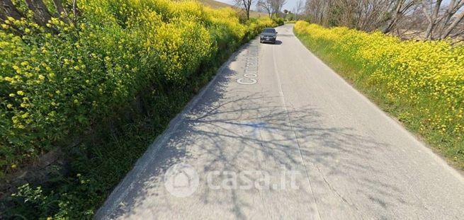 Terreno agricolo in commerciale in Contrada Campiglia