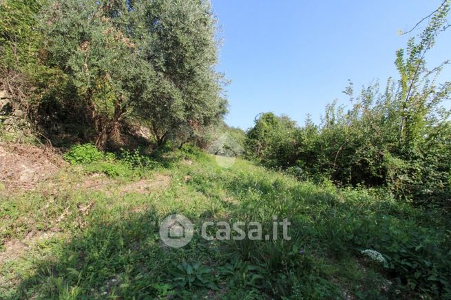 Terreno agricolo in commerciale in Via Santo Stefano 4