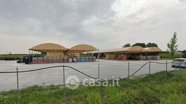 Terreno agricolo in commerciale in Via Vetreto