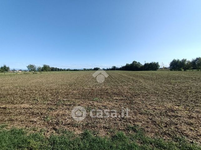 Terreno agricolo in commerciale in Via Cavin Maggiore 1