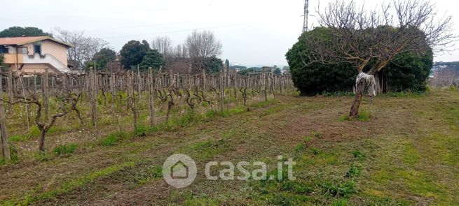 Terreno agricolo in commerciale in Via dei Ceraseti
