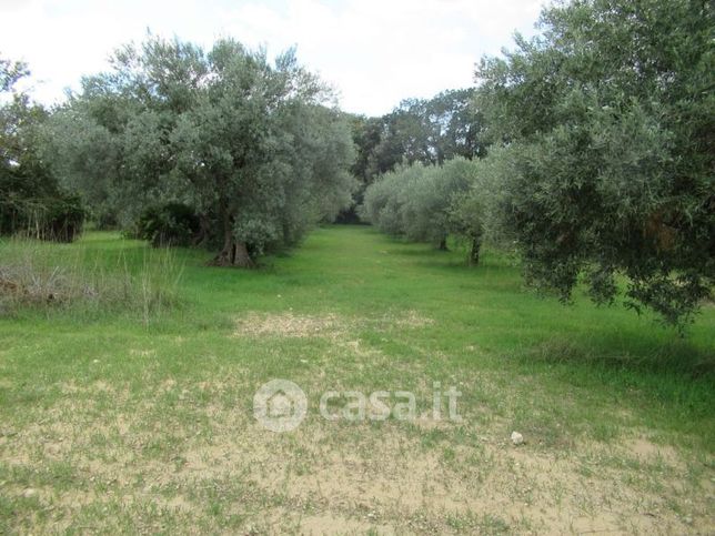 Terreno edificabile in residenziale in Contrada San Basilio