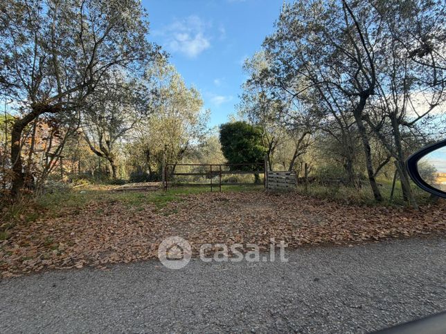 Terreno agricolo in commerciale in Via di Picille