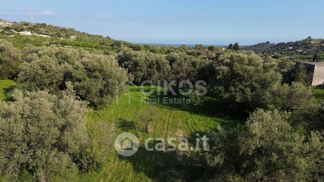 Terreno agricolo in commerciale in cda zisola