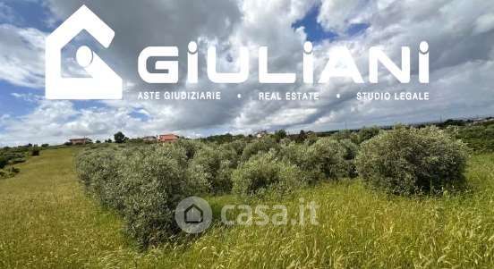 Terreno agricolo in commerciale in Via delle Selve Nuove