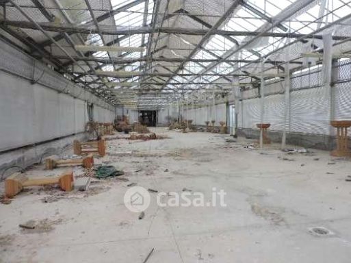 Capannone in commerciale in Via Toffanelle Nuove 46