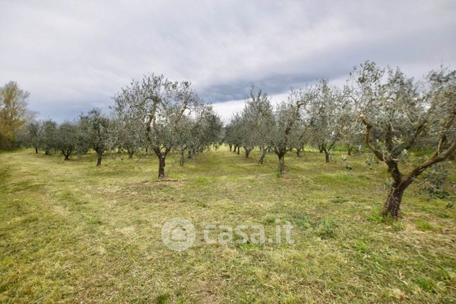 Terreno agricolo in commerciale in 