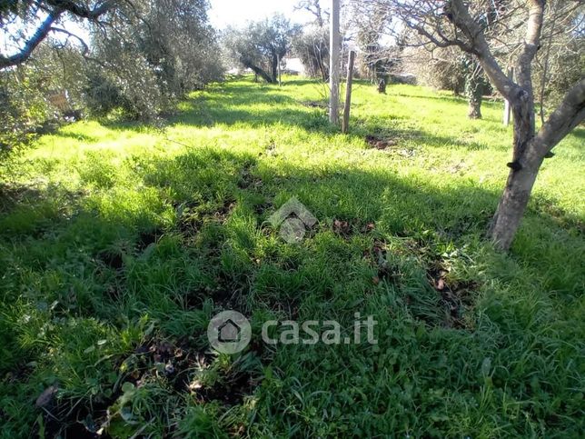 Terreno edificabile in residenziale in Strada del Cerqueto