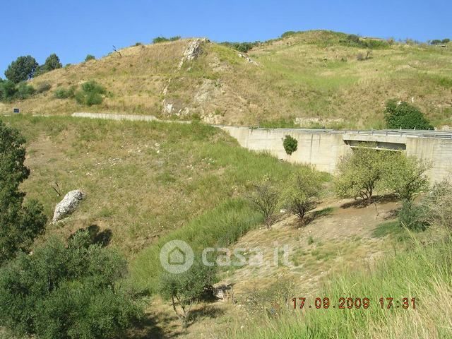 Terreno agricolo in commerciale in Contrada Feotto