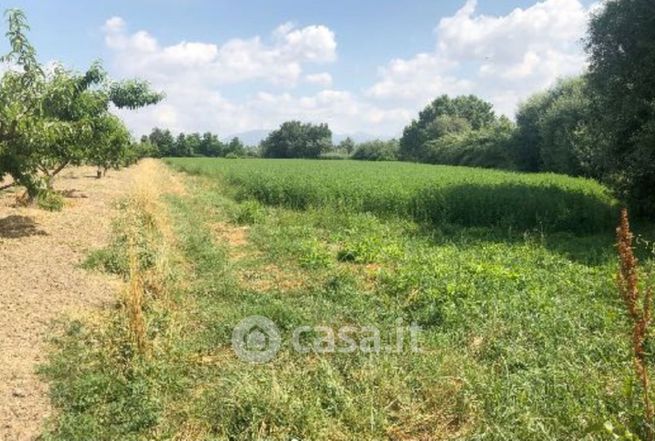 Terreno agricolo in commerciale in LocalitÃ  Volta dei Pastori