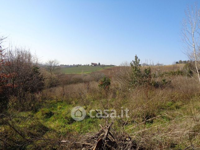 Terreno agricolo in commerciale in Via Montechiaro 13