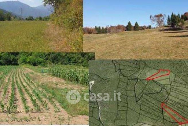 Terreno agricolo in commerciale in Viale Trento