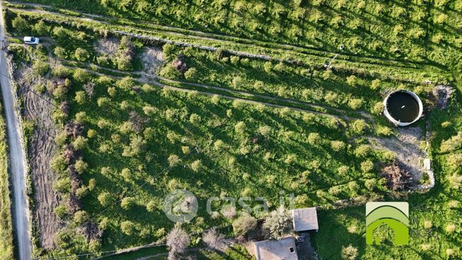 Terreno agricolo in commerciale in Contrada Bochini-Collina degli Ulivi