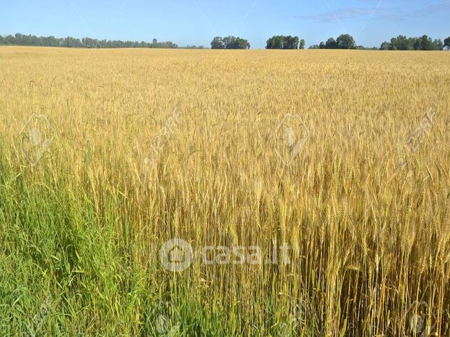 Terreno agricolo in commerciale in Via Serio