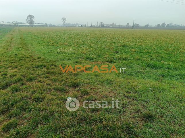 Terreno agricolo in commerciale in Strada Provinciale Francesca