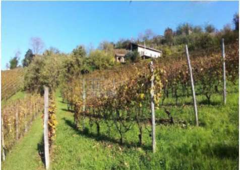 Terreno agricolo in commerciale in Piazza Amedeo d'Aosta