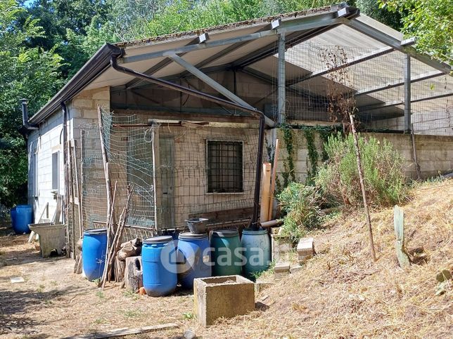 Terreno agricolo in commerciale in Via Zappelle 76