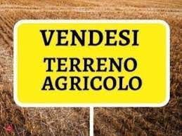 Terreno agricolo in commerciale in Strada Provinciale 44