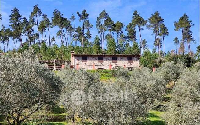 Rustico/casale in residenziale in Località Sant'Andrea