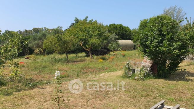 Terreno edificabile in residenziale in Via Procoio di Ceri
