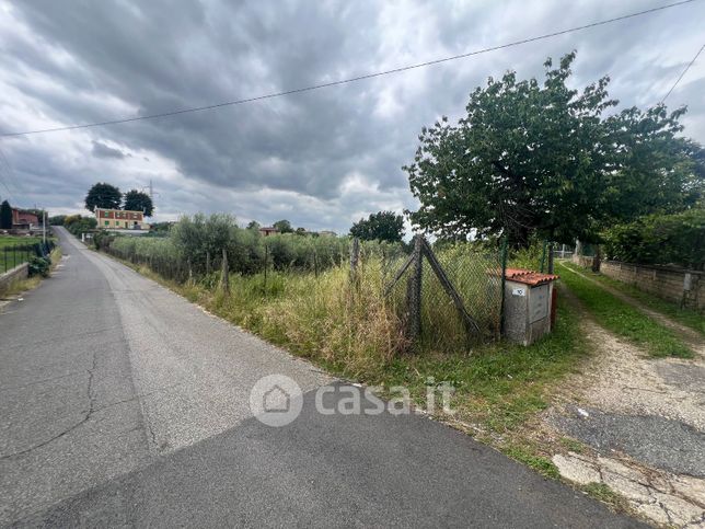 Terreno agricolo in commerciale in Via San Apollaria Nuova 10