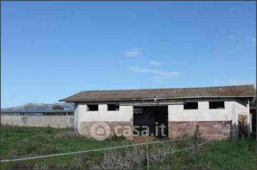 Terreno agricolo in commerciale in Via Tivera 14