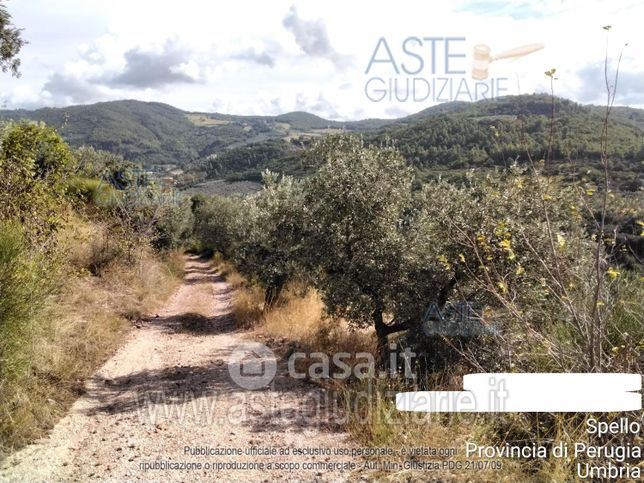 Terreno agricolo in commerciale in Strada Monte Subasio