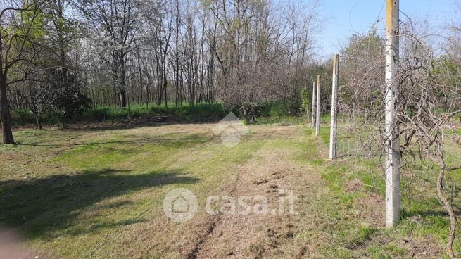 Terreno agricolo in commerciale in Strada per Misobolo