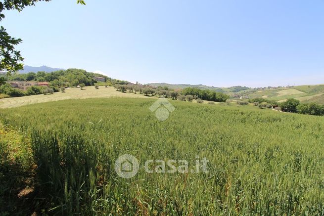 Terreno agricolo in commerciale in Strada Borrana