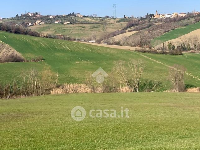 Terreno agricolo in commerciale in Viale Roncona