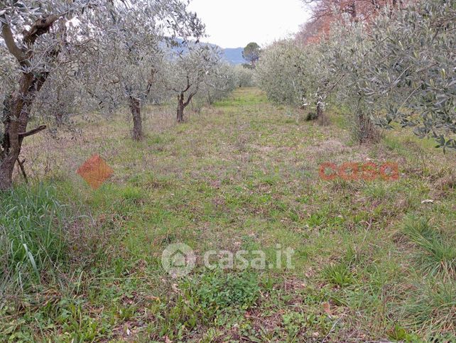 Terreno agricolo in commerciale in Frazione Morgnano