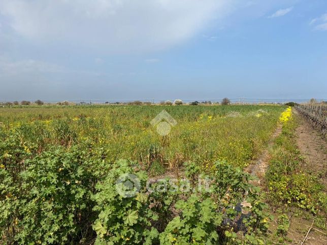 Terreno agricolo in commerciale in Strada Comunale 14
