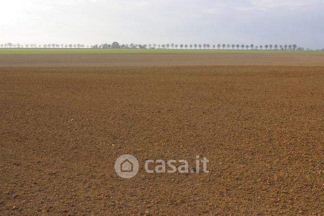 Terreno edificabile in residenziale in 